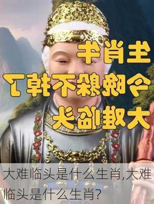 大难临头是什么生肖,大难临头是什么生肖?