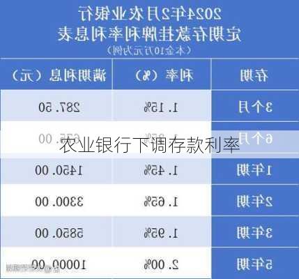 农业银行下调存款利率