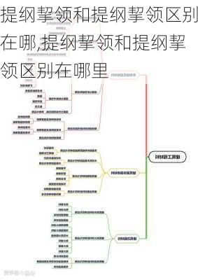 提纲挈领和提纲挈领区别在哪,提纲挈领和提纲挈领区别在哪里