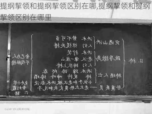 提纲挈领和提纲挈领区别在哪,提纲挈领和提纲挈领区别在哪里