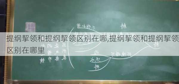 提纲挈领和提纲挈领区别在哪,提纲挈领和提纲挈领区别在哪里