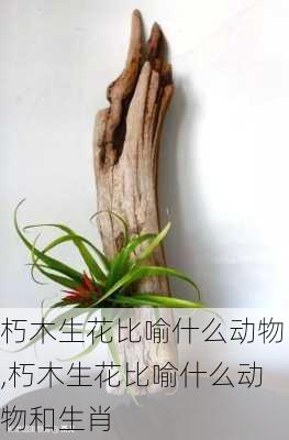 朽木生花比喻什么动物,朽木生花比喻什么动物和生肖