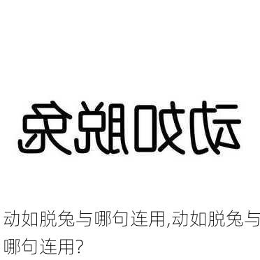 动如脱兔与哪句连用,动如脱兔与哪句连用?