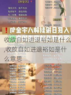 收放自如进退裕如是什么,收放自如进退裕如是什么意思