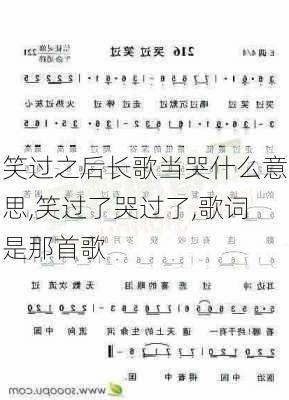 笑过之后长歌当哭什么意思,笑过了哭过了,歌词是那首歌