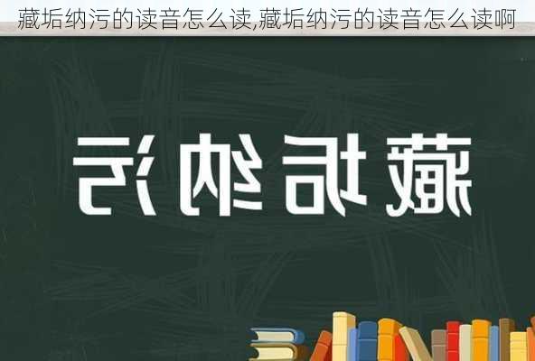 藏垢纳污的读音怎么读,藏垢纳污的读音怎么读啊