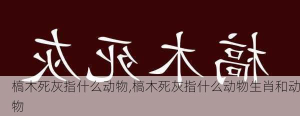 槁木死灰指什么动物,槁木死灰指什么动物生肖和动物