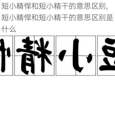 短小精悍和短小精干的意思区别,短小精悍和短小精干的意思区别是什么