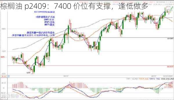 棕榈油 p2409：7400 价位有支撑，逢低做多