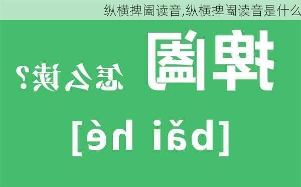 纵横捭阖读音,纵横捭阖读音是什么