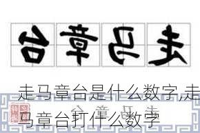 走马章台是什么数字,走马章台打什么数字