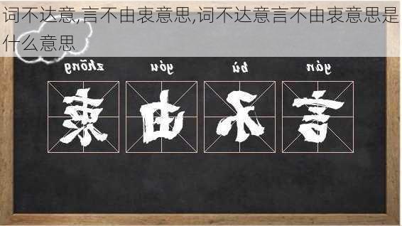 词不达意,言不由衷意思,词不达意言不由衷意思是什么意思