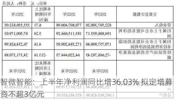 智微智能：上半年净利润同比增36.03% 拟定增募资不超3亿元