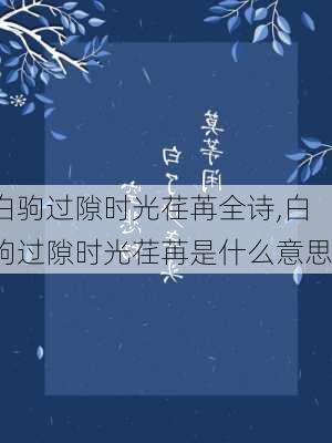 白驹过隙时光荏苒全诗,白驹过隙时光荏苒是什么意思