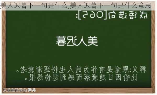 美人迟暮下一句是什么,美人迟暮下一句是什么意思