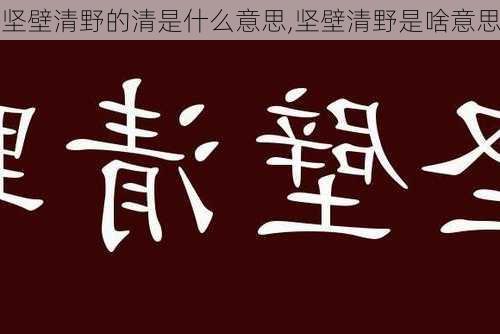 坚壁清野的清是什么意思,坚壁清野是啥意思