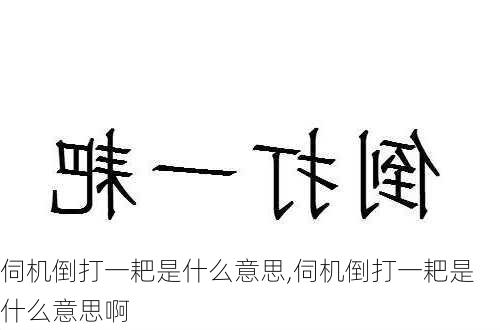 伺机倒打一耙是什么意思,伺机倒打一耙是什么意思啊