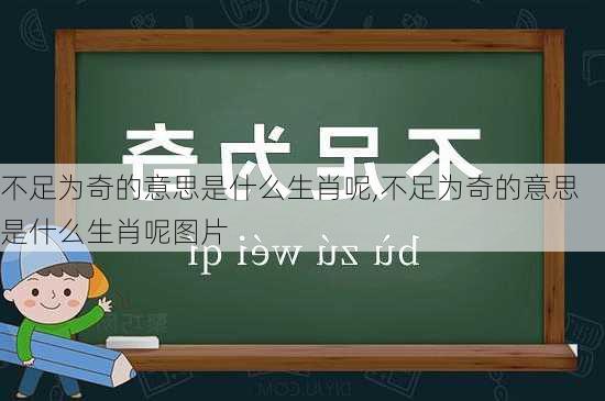 不足为奇的意思是什么生肖呢,不足为奇的意思是什么生肖呢图片