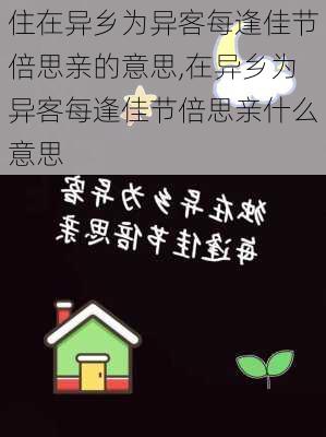 住在异乡为异客每逢佳节倍思亲的意思,在异乡为异客每逢佳节倍思亲什么意思