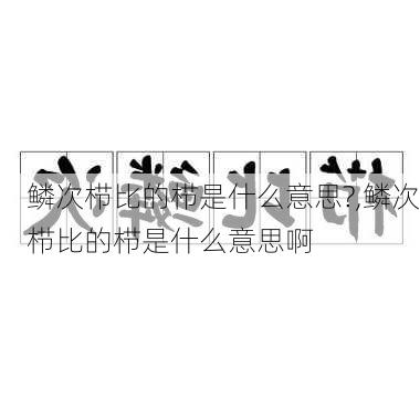 鳞次栉比的栉是什么意思?,鳞次栉比的栉是什么意思啊