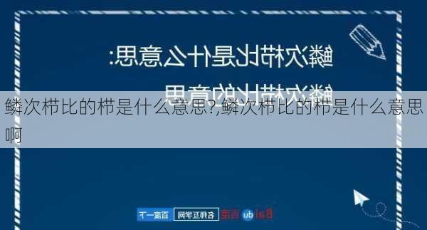 鳞次栉比的栉是什么意思?,鳞次栉比的栉是什么意思啊