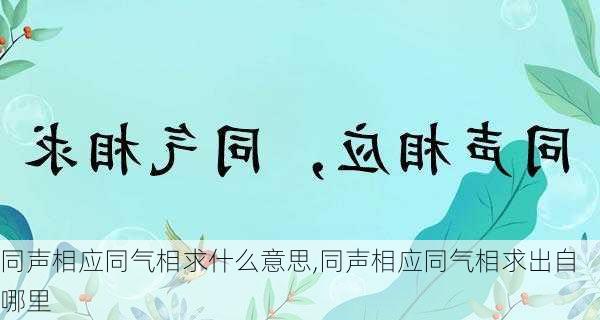 同声相应同气相求什么意思,同声相应同气相求出自哪里