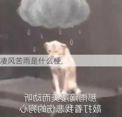 凄风苦雨是什么梗,