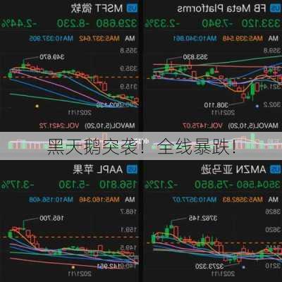 黑天鹅突袭！全线暴跌！