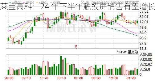 莱宝高科：24 年下半年触摸屏销售有望增长