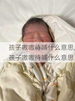 孩子嗷嗷待哺什么意思,孩子嗷嗷待哺什么意思