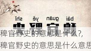 稗官野史的意思是什么?,稗官野史的意思是什么意思