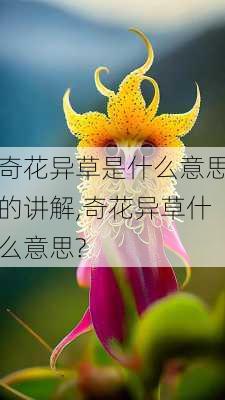 奇花异草是什么意思的讲解,奇花异草什么意思?