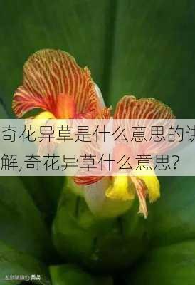 奇花异草是什么意思的讲解,奇花异草什么意思?