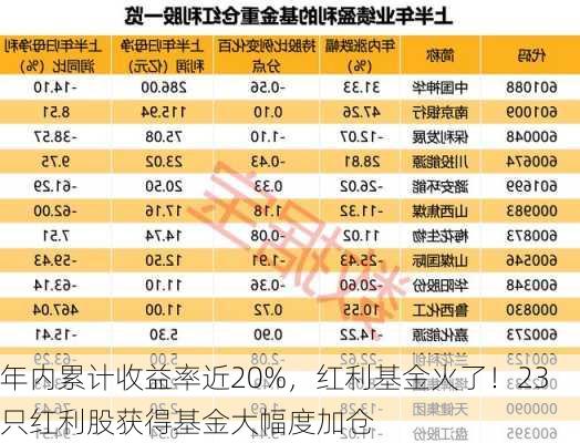 年内累计收益率近20%，红利基金火了！23只红利股获得基金大幅度加仓