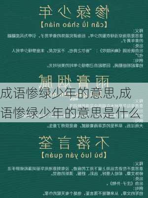 成语惨绿少年的意思,成语惨绿少年的意思是什么