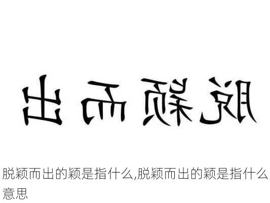 脱颖而出的颖是指什么,脱颖而出的颖是指什么意思