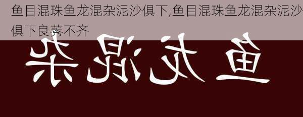 鱼目混珠鱼龙混杂泥沙俱下,鱼目混珠鱼龙混杂泥沙俱下良莠不齐