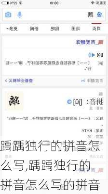 踽踽独行的拼音怎么写,踽踽独行的拼音怎么写的拼音