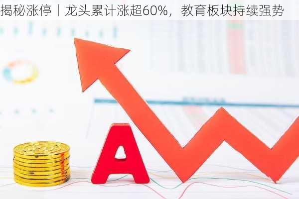 揭秘涨停丨龙头累计涨超60%，教育板块持续强势