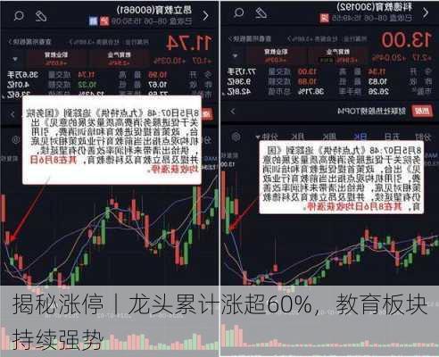 揭秘涨停丨龙头累计涨超60%，教育板块持续强势