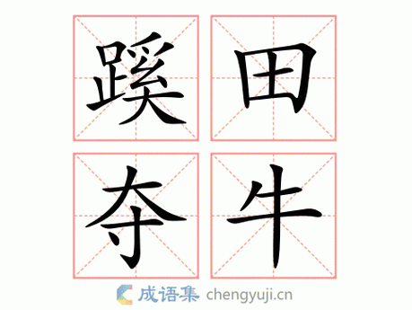 蹊田夺牛打一字,蹊田夺牛打一数字