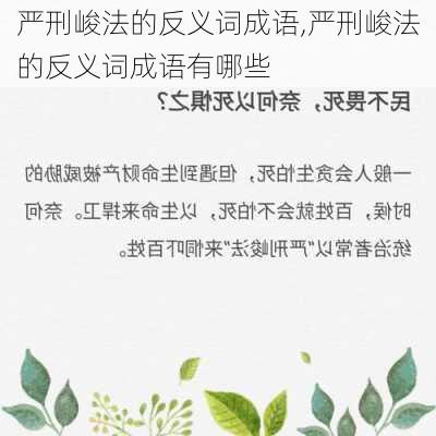 严刑峻法的反义词成语,严刑峻法的反义词成语有哪些