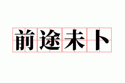 含有前途未卜的成语,含有前途未卜的成语有哪些