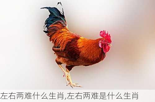 左右两难什么生肖,左右两难是什么生肖