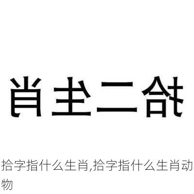 拾字指什么生肖,拾字指什么生肖动物