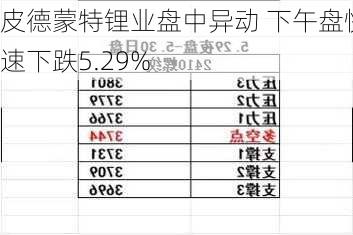 皮德蒙特锂业盘中异动 下午盘快速下跌5.29%