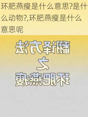 环肥燕瘦是什么意思?是什么动物?,环肥燕瘦是什么意思呢