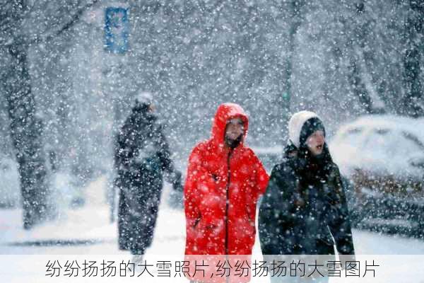 纷纷扬扬的大雪照片,纷纷扬扬的大雪图片