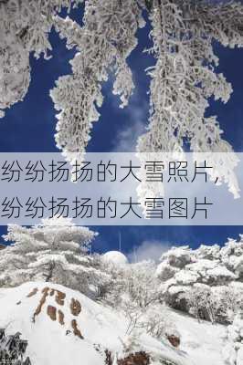 纷纷扬扬的大雪照片,纷纷扬扬的大雪图片