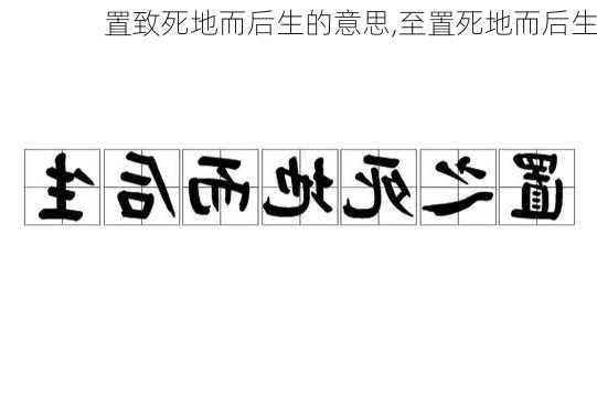 置致死地而后生的意思,至置死地而后生